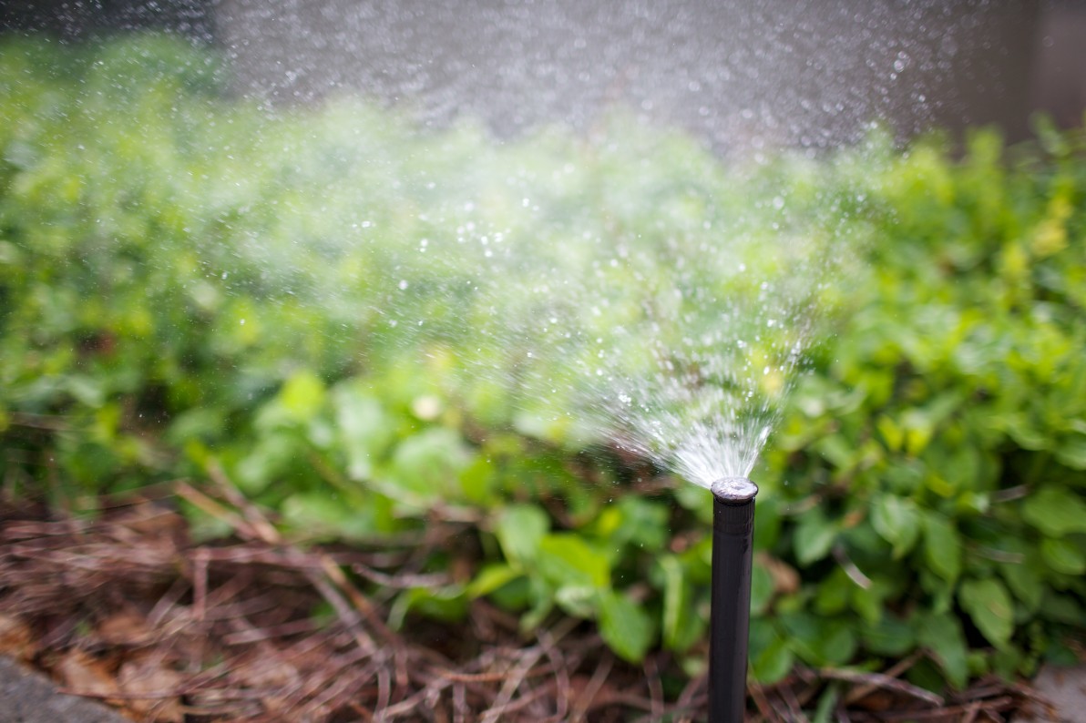 Irrigation sprinkler in use.